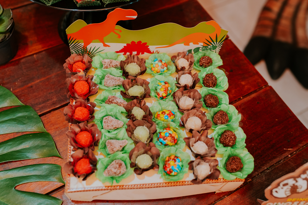 fotografia festa infantil 3 anos Joaquim ilha do governador dinossauro fotografa familia bruna Guerson ufrj 