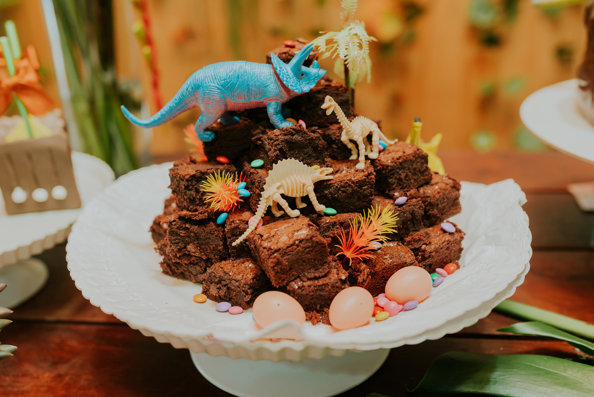 fotografia festa infantil 3 anos Joaquim ilha do governador dinossauro fotografa familia bruna Guerson ufrj 