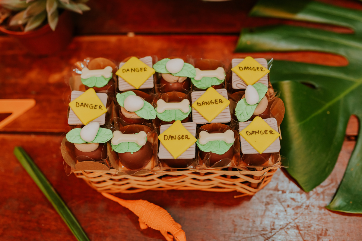 fotografia festa infantil 3 anos Joaquim ilha do governador dinossauro fotografa familia bruna Guerson ufrj 