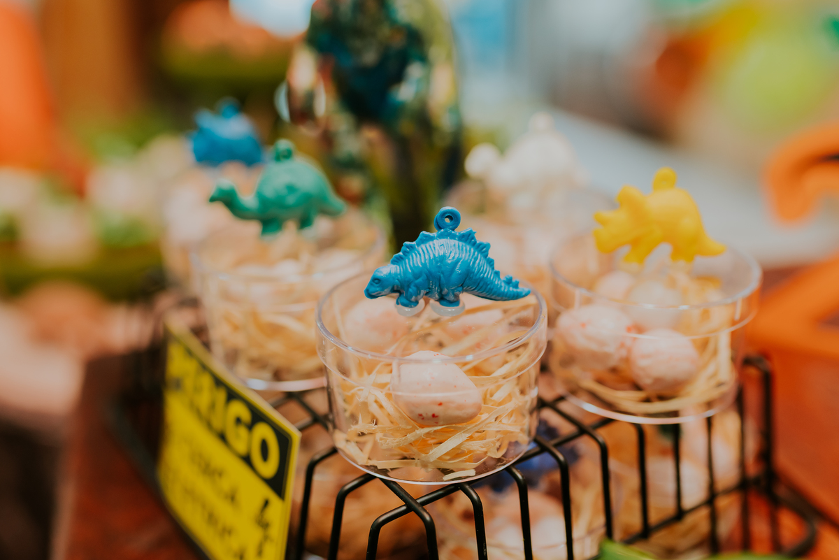 fotografia festa infantil 3 anos Joaquim ilha do governador dinossauro fotografa familia bruna Guerson ufrj 