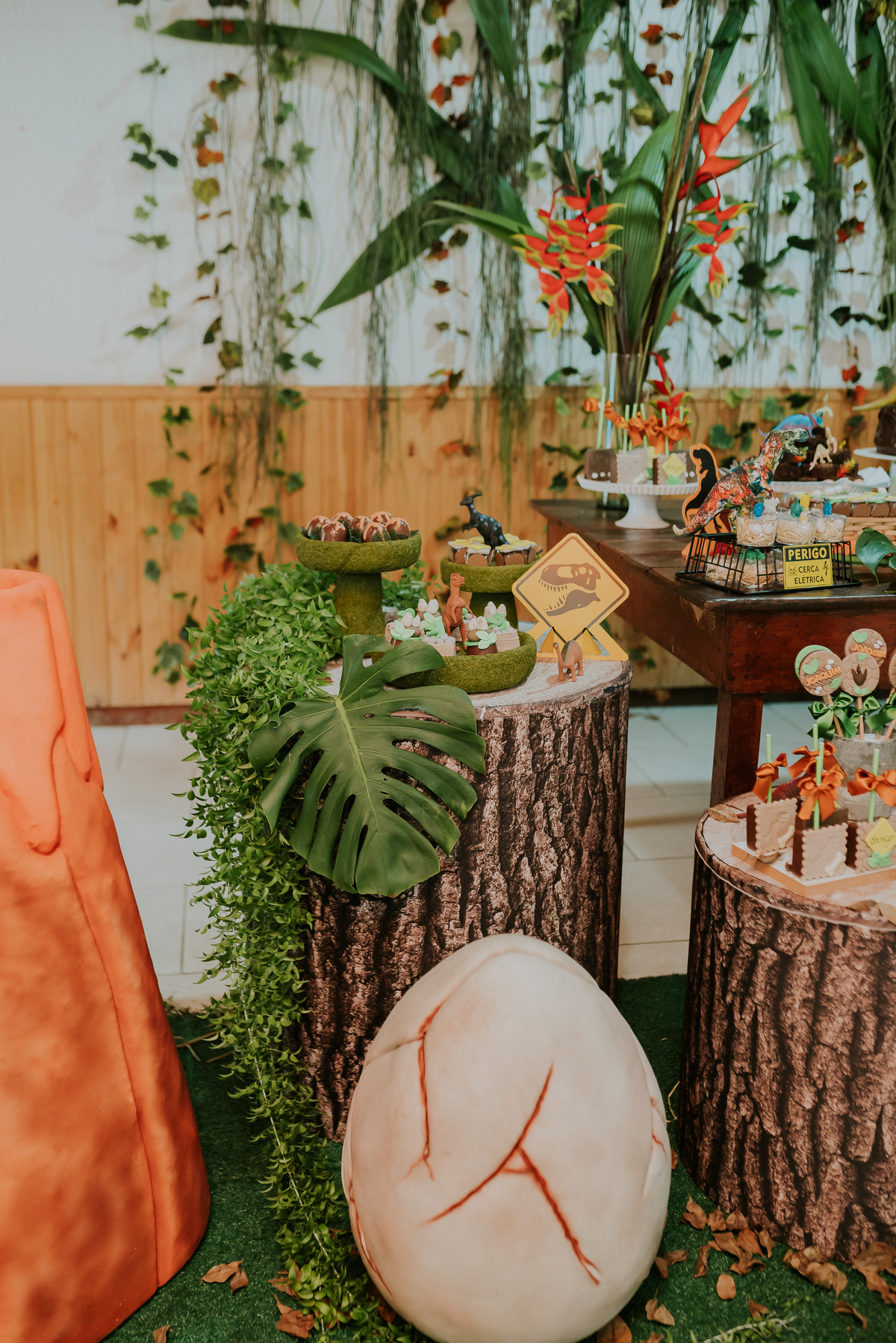 fotografia festa infantil 3 anos Joaquim ilha do governador dinossauro fotografa familia bruna Guerson ufrj 