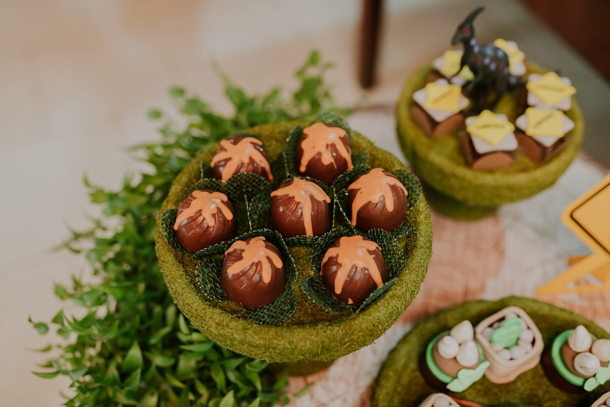 fotografia festa infantil 3 anos Joaquim ilha do governador dinossauro fotografa familia bruna Guerson ufrj 