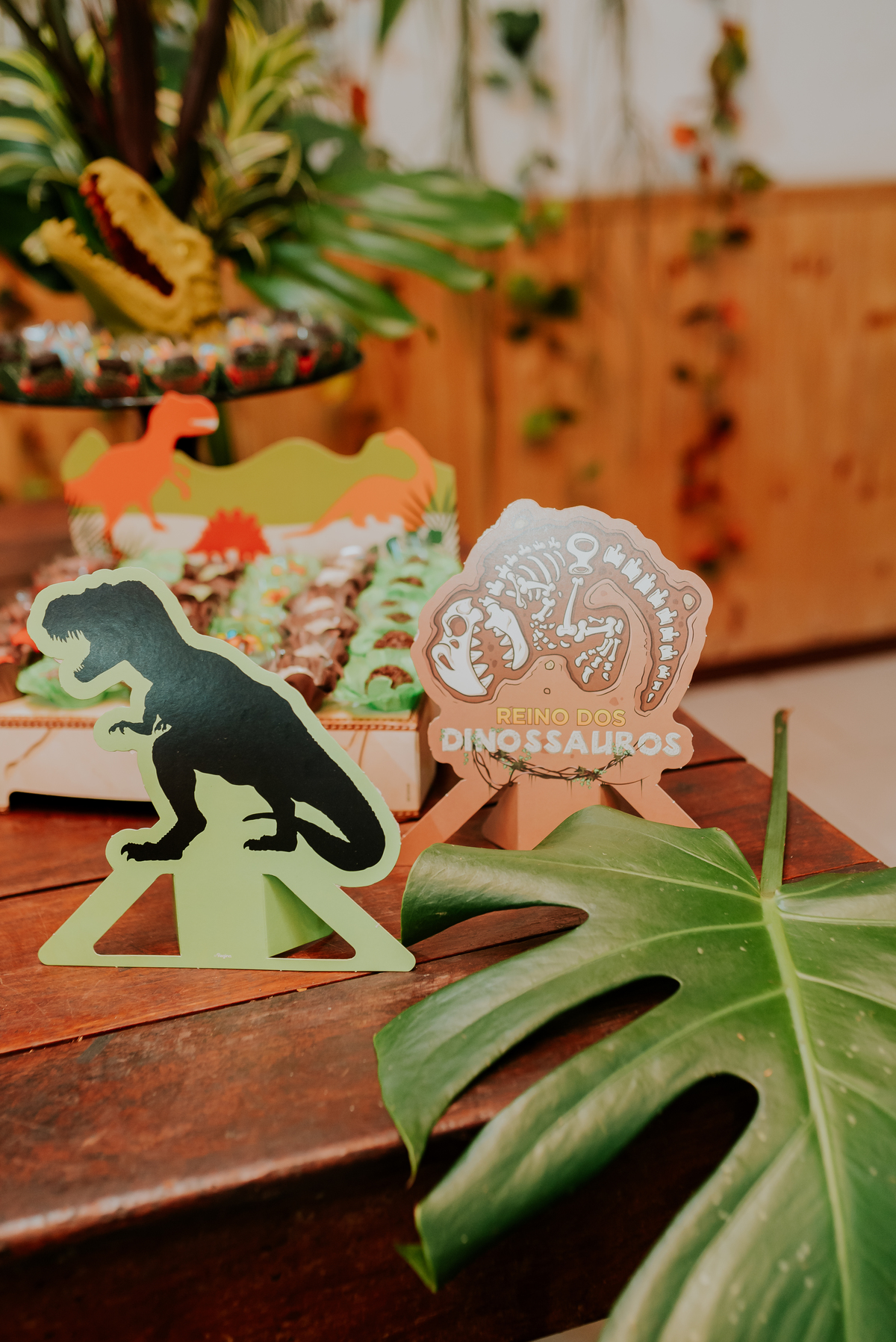 fotografia festa infantil 3 anos Joaquim ilha do governador dinossauro fotografa familia bruna Guerson ufrj 