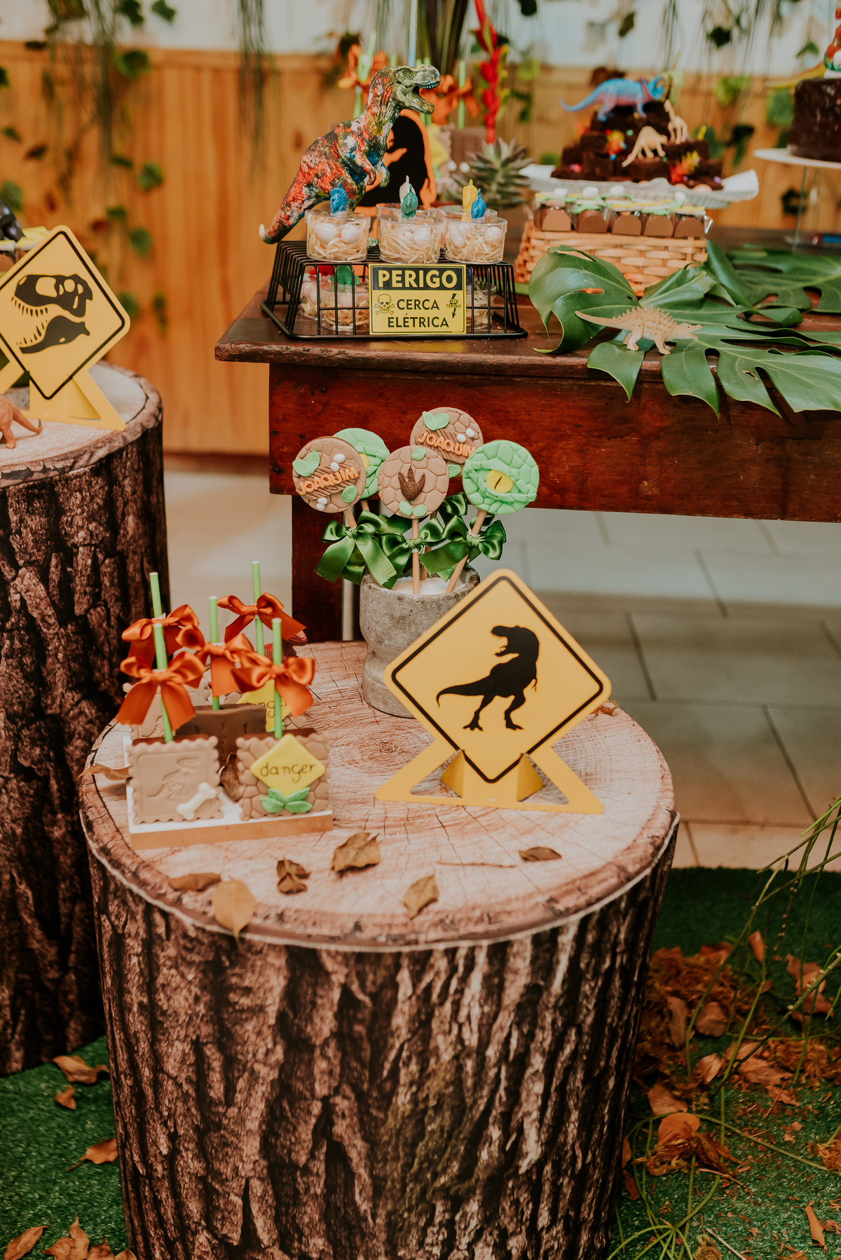 fotografia festa infantil 3 anos Joaquim ilha do governador dinossauro fotografa familia bruna Guerson ufrj 