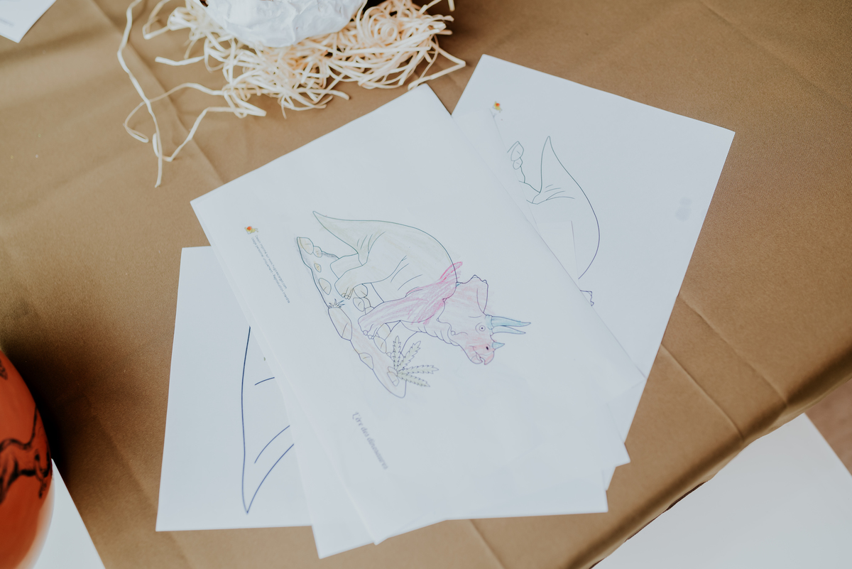 fotografia festa infantil 3 anos Joaquim ilha do governador dinossauro fotografa familia bruna Guerson ufrj 