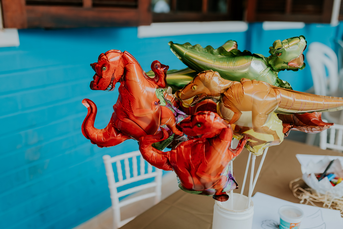 fotografia festa infantil 3 anos Joaquim ilha do governador dinossauro fotografa familia bruna Guerson ufrj 