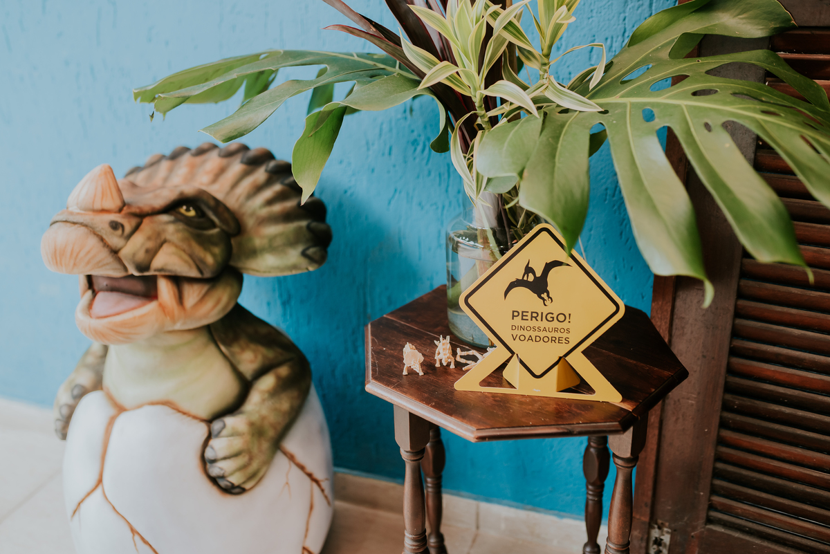 fotografia festa infantil 3 anos Joaquim ilha do governador dinossauro fotografa familia bruna Guerson ufrj 