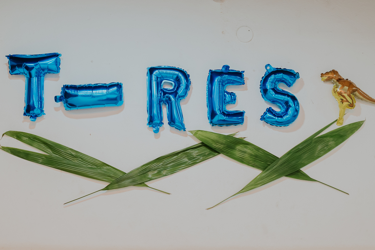 fotografia festa infantil 3 anos Joaquim ilha do governador dinossauro fotografa familia bruna Guerson ufrj 