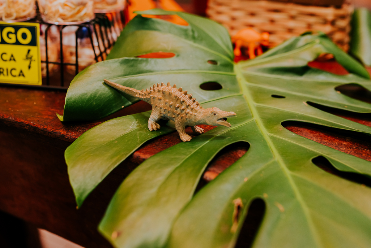 fotografia festa infantil 3 anos Joaquim ilha do governador dinossauro fotografa familia bruna Guerson ufrj 