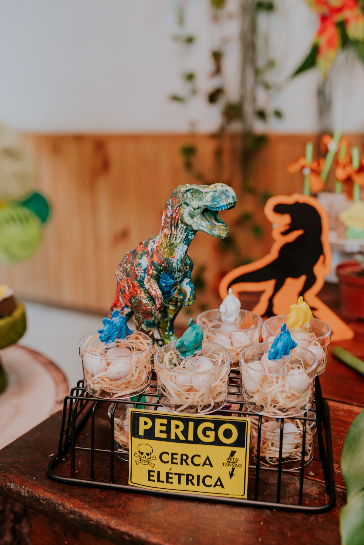 fotografia festa infantil 3 anos Joaquim ilha do governador dinossauro fotografa familia bruna Guerson ufrj 