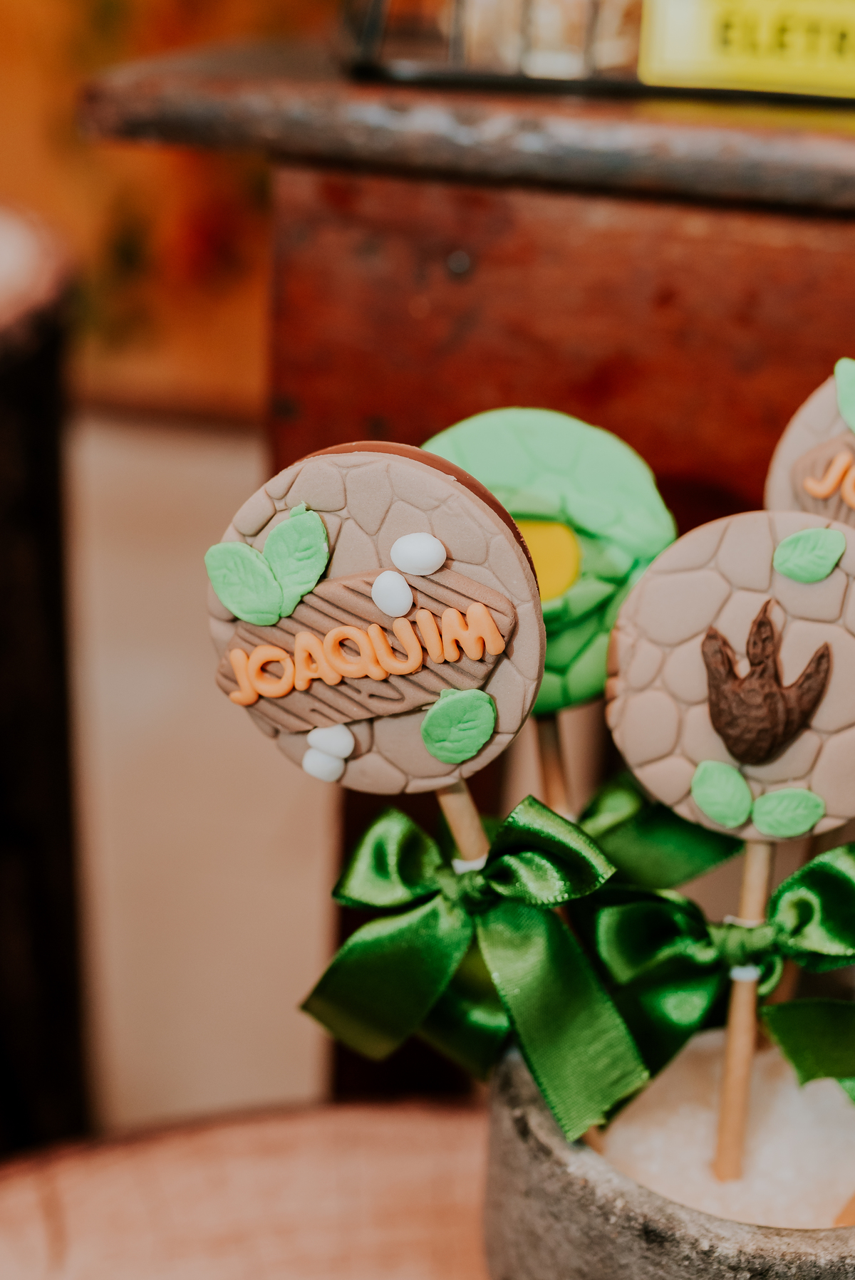 fotografia festa infantil 3 anos Joaquim ilha do governador dinossauro fotografa familia bruna Guerson ufrj 