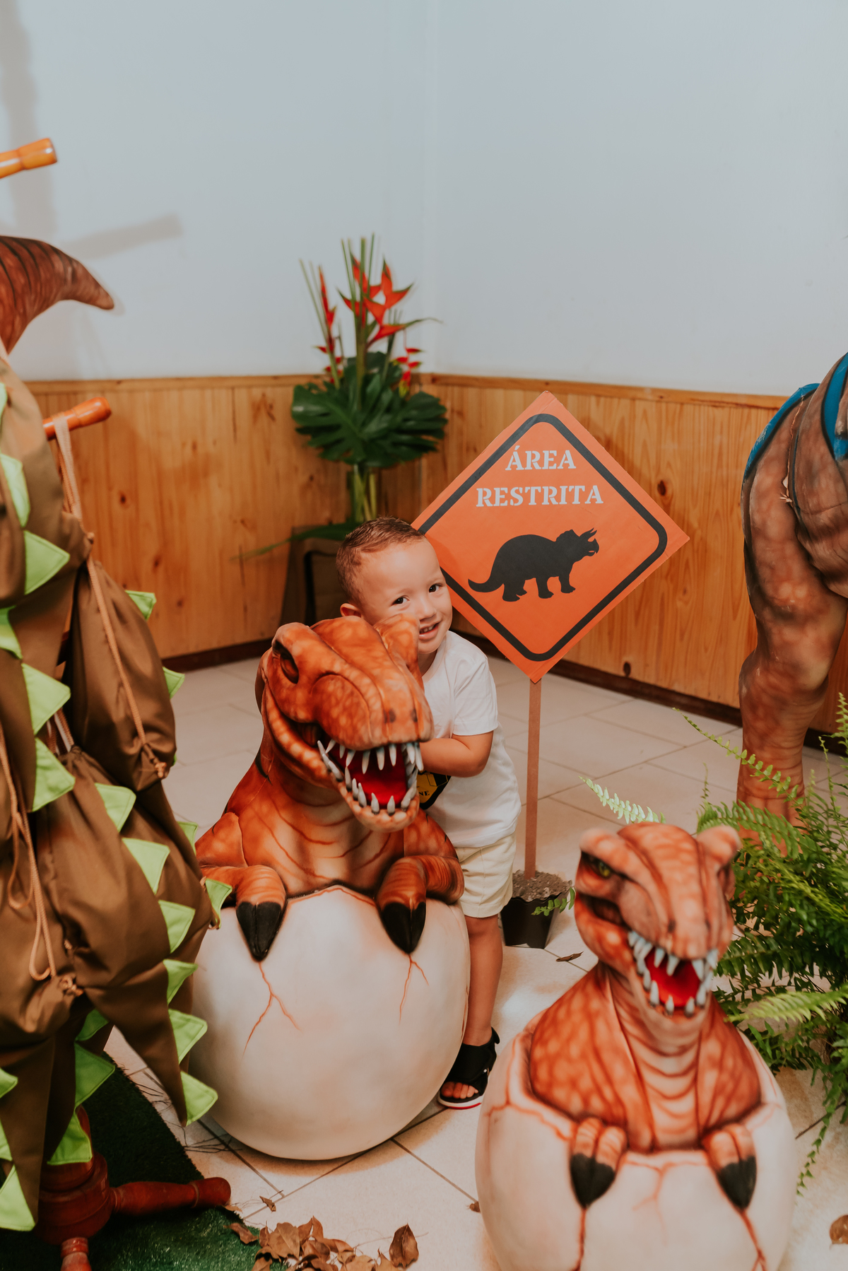 fotografia festa infantil 3 anos Joaquim ilha do governador dinossauro fotografa familia bruna Guerson ufrj 