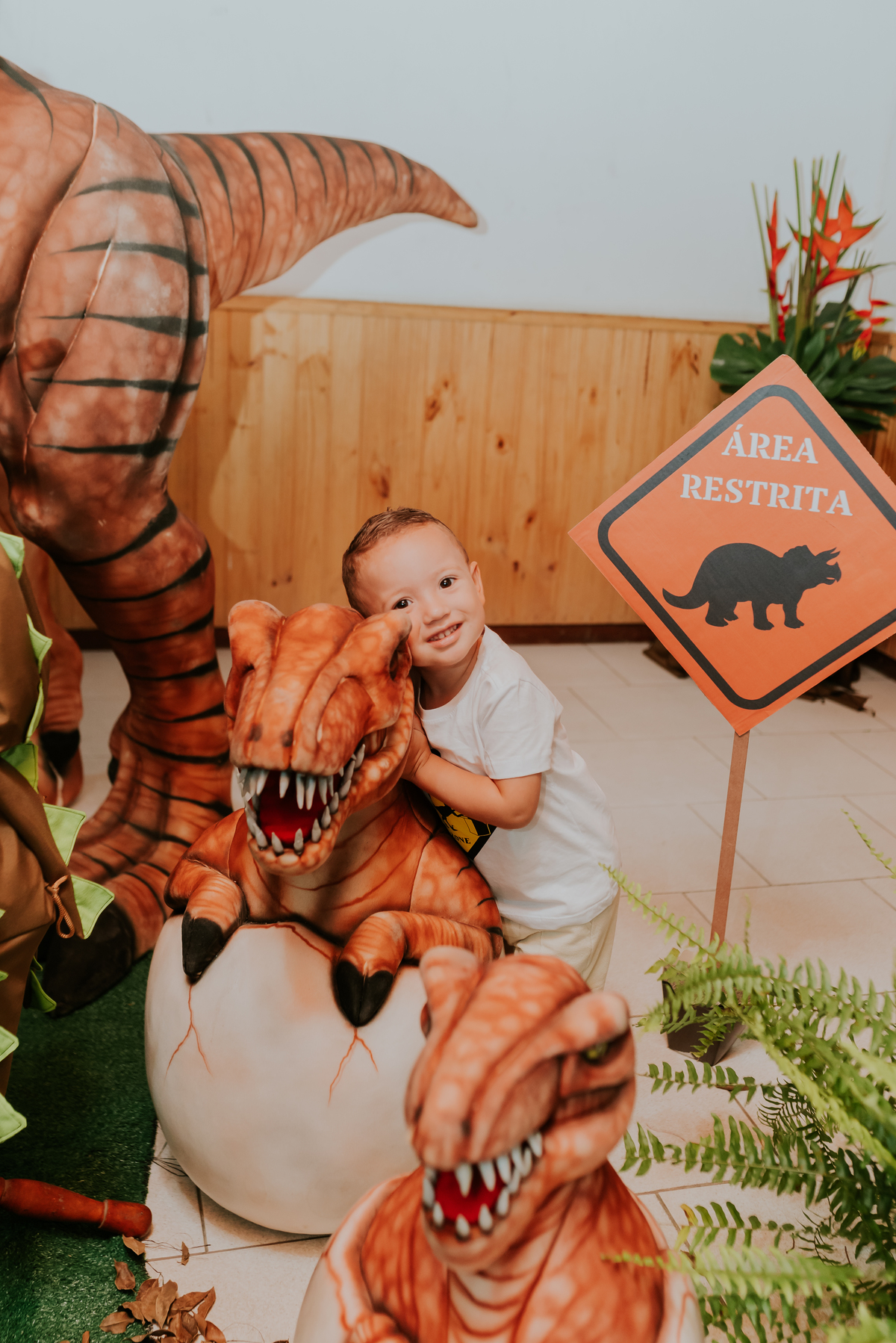 fotografia festa infantil 3 anos Joaquim ilha do governador dinossauro fotografa familia bruna Guerson ufrj 