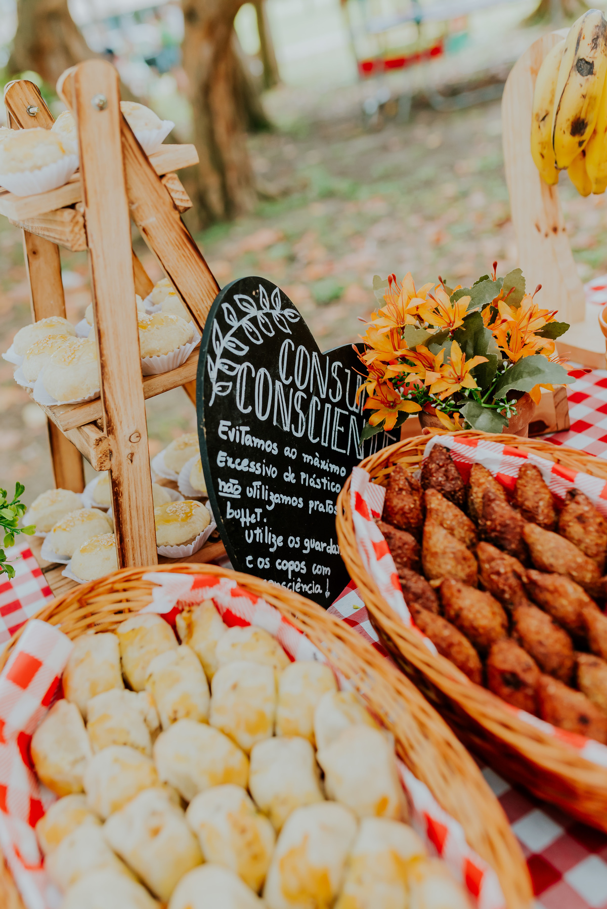 fotografia festa infantil piquenique pic nic aterro do flamengo Rio de Janeiro rj fotografa familia 2 anos benjamín Mickey
