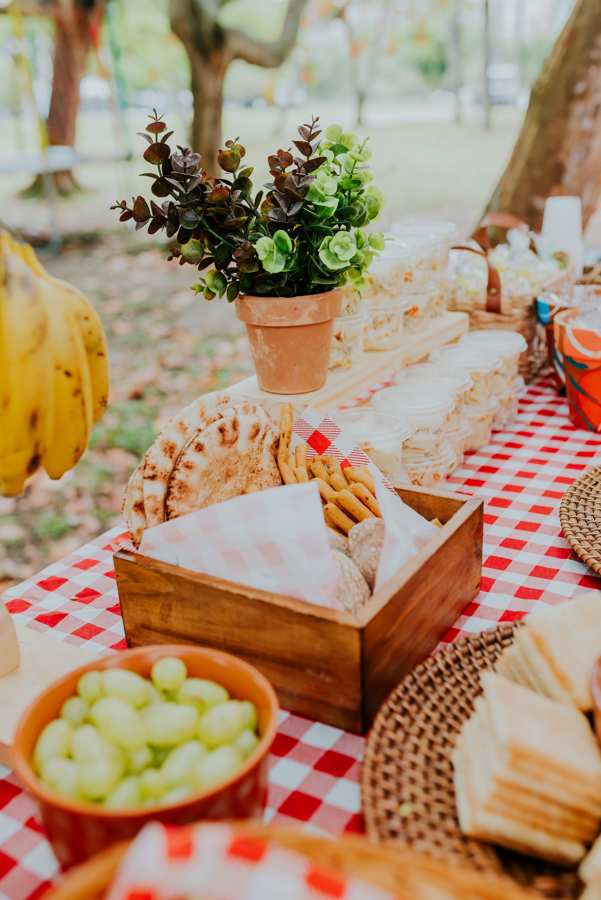 fotografia festa infantil piquenique pic nic aterro do flamengo Rio de Janeiro rj fotografa familia 2 anos benjamín Mickey
