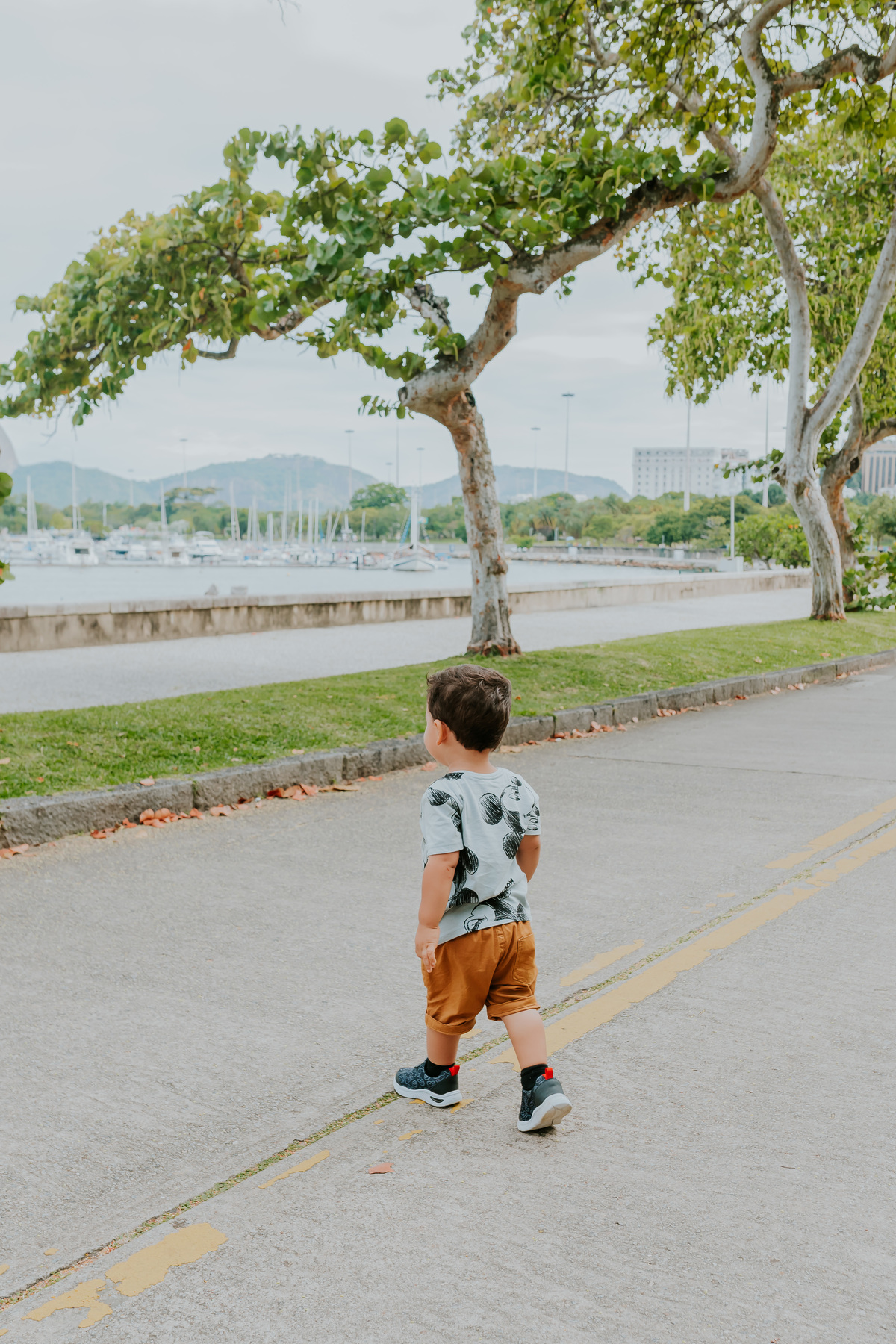 fotografia festa infantil piquenique pic nic aterro do flamengo Rio de Janeiro rj fotografa familia 2 anos benjamín Mickey