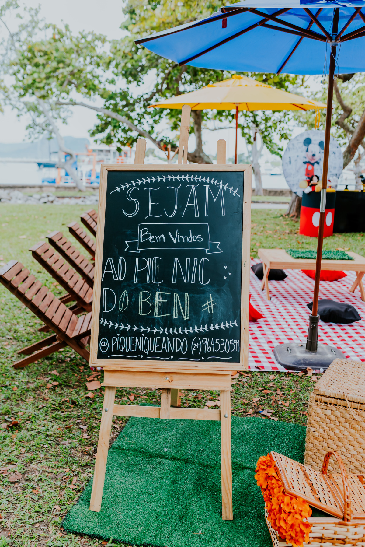 fotografia festa infantil piquenique pic nic aterro do flamengo Rio de Janeiro rj fotografa familia 2 anos benjamín Mickey