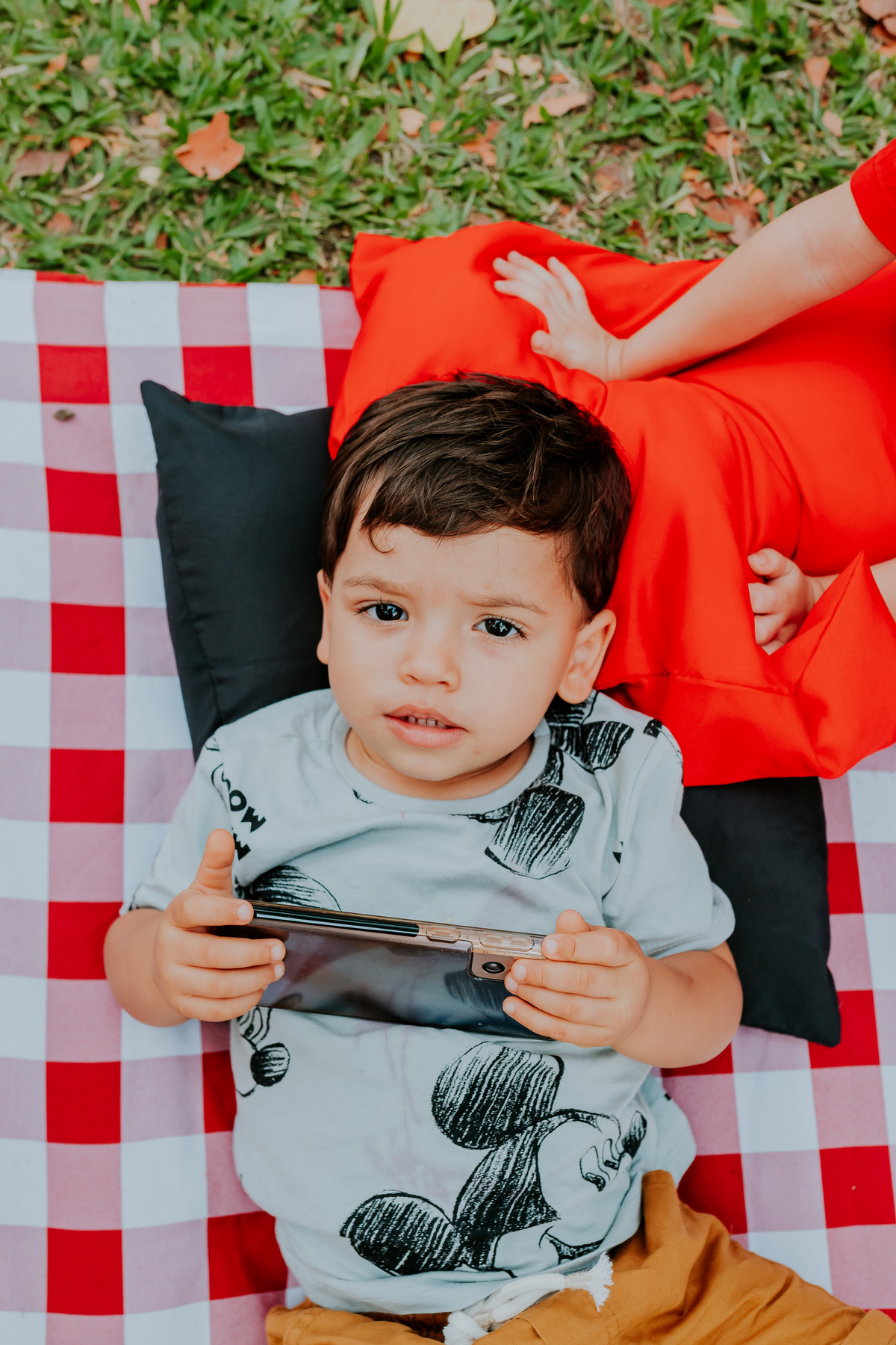 fotografia festa infantil piquenique pic nic aterro do flamengo Rio de Janeiro rj fotografa familia 2 anos benjamín Mickey