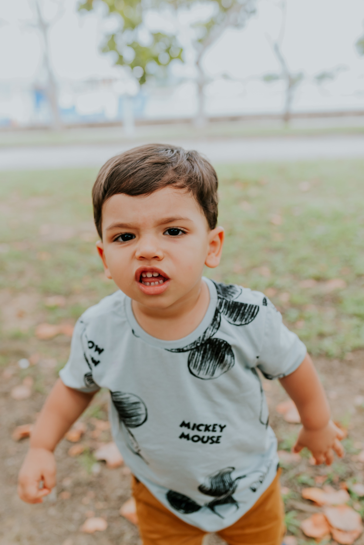 fotografia festa infantil piquenique pic nic aterro do flamengo Rio de Janeiro rj fotografa familia 2 anos benjamín Mickey