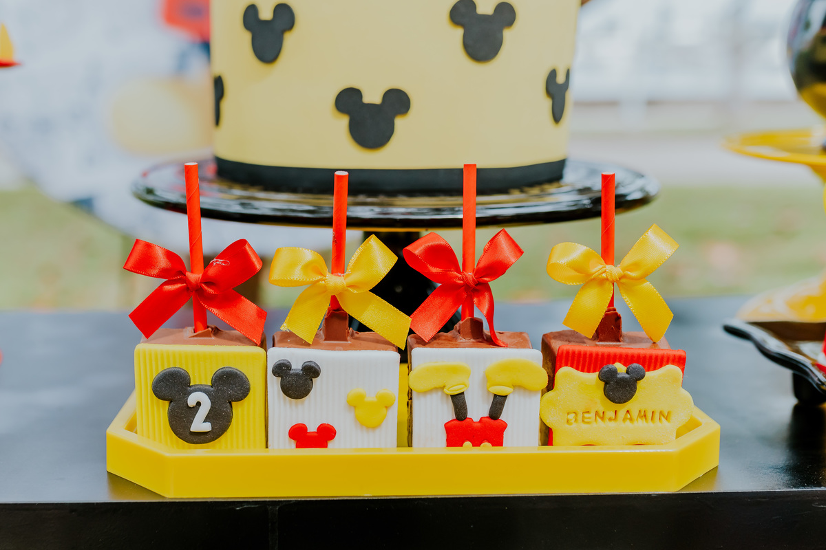 fotografia festa infantil piquenique pic nic aterro do flamengo Rio de Janeiro rj fotografa familia 2 anos benjamín Mickey