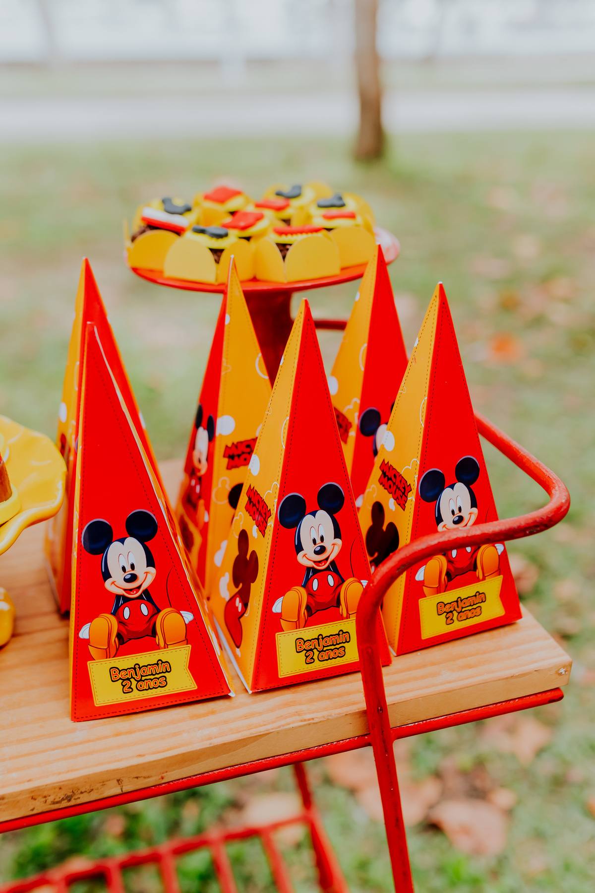 fotografia festa infantil piquenique pic nic aterro do flamengo Rio de Janeiro rj fotografa familia 2 anos benjamín Mickey