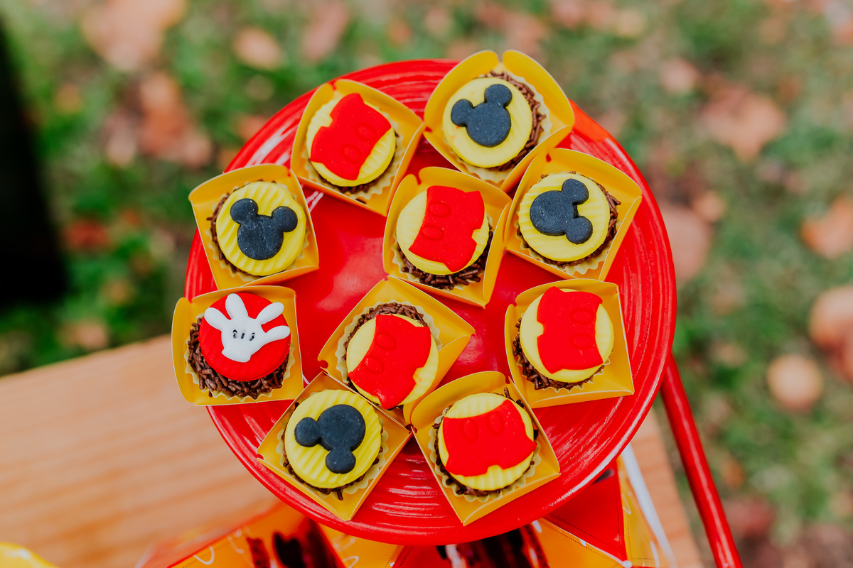 fotografia festa infantil piquenique pic nic aterro do flamengo Rio de Janeiro rj fotografa familia 2 anos benjamín Mickey