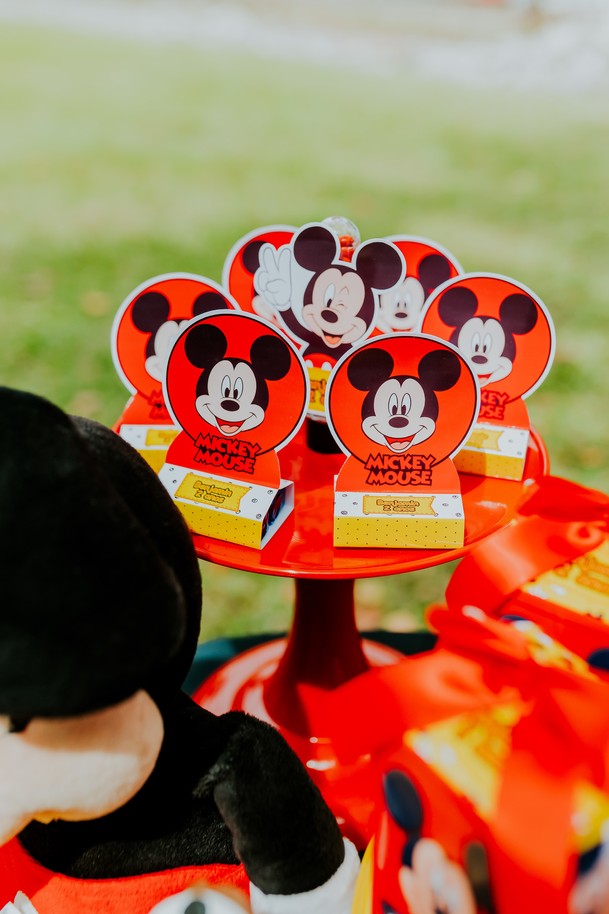 fotografia festa infantil piquenique pic nic aterro do flamengo Rio de Janeiro rj fotografa familia 2 anos benjamín Mickey