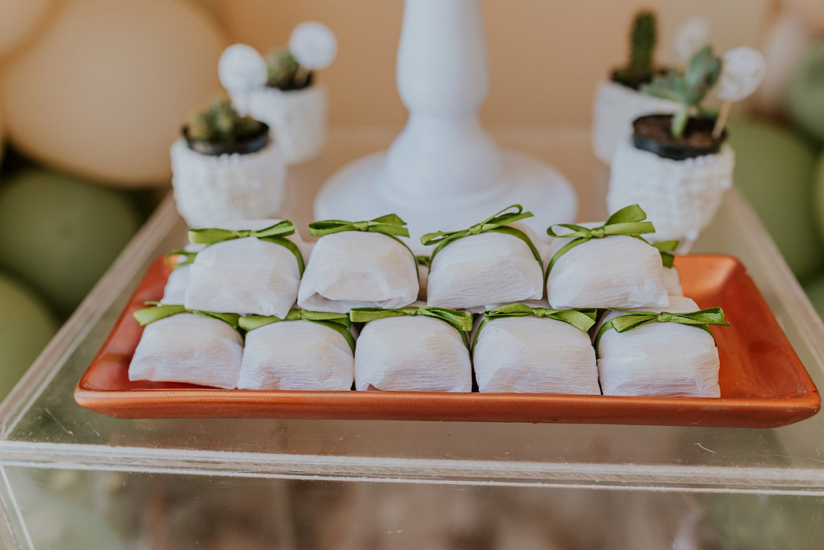 Paróquia São Francisco Xavier fotografia batizado batismo maya Rio de Janeiro Tijuca 