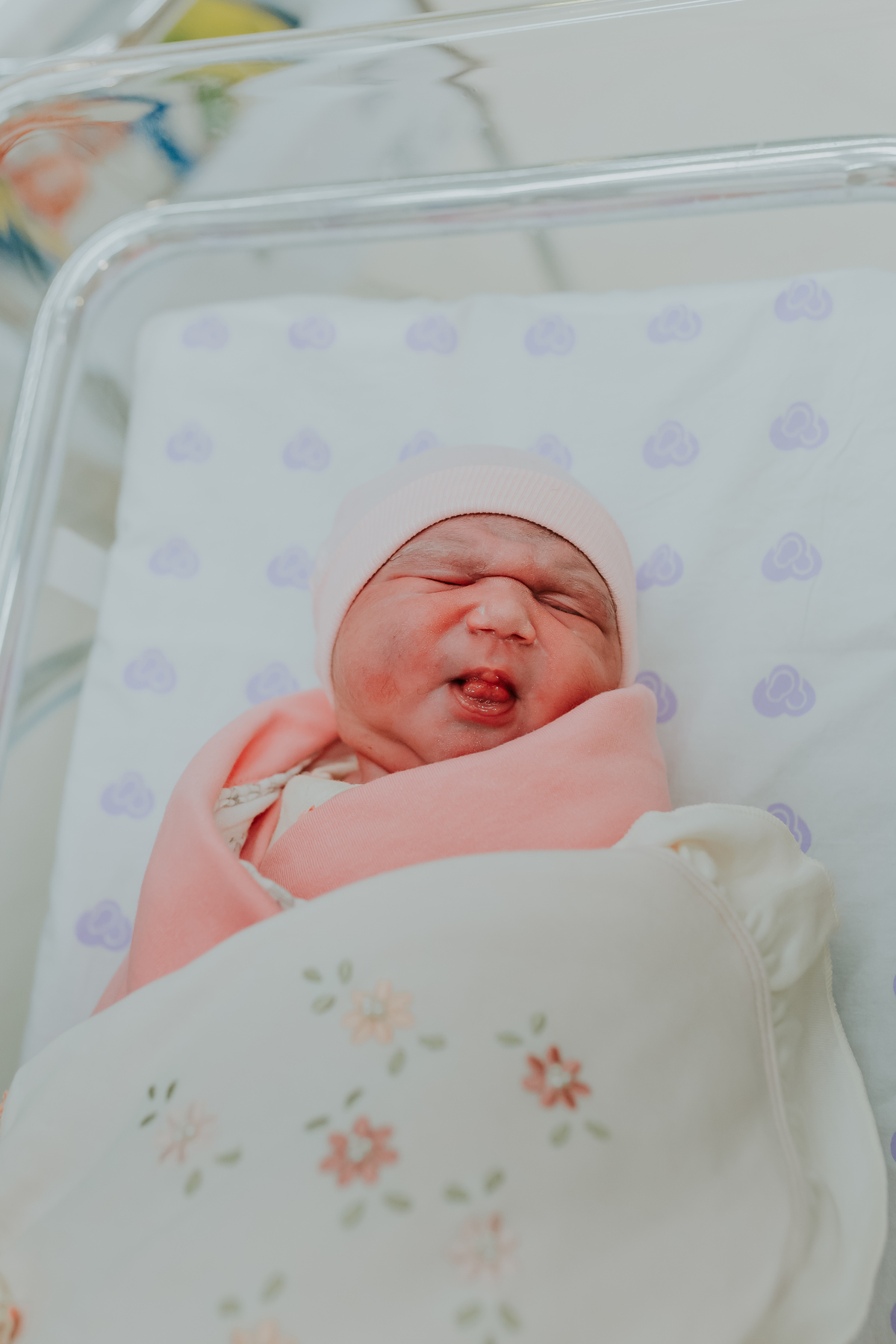 fotografia nascimento perinatal laranjeiras fotografa familia rio de janeiro parto cesárea laura rj