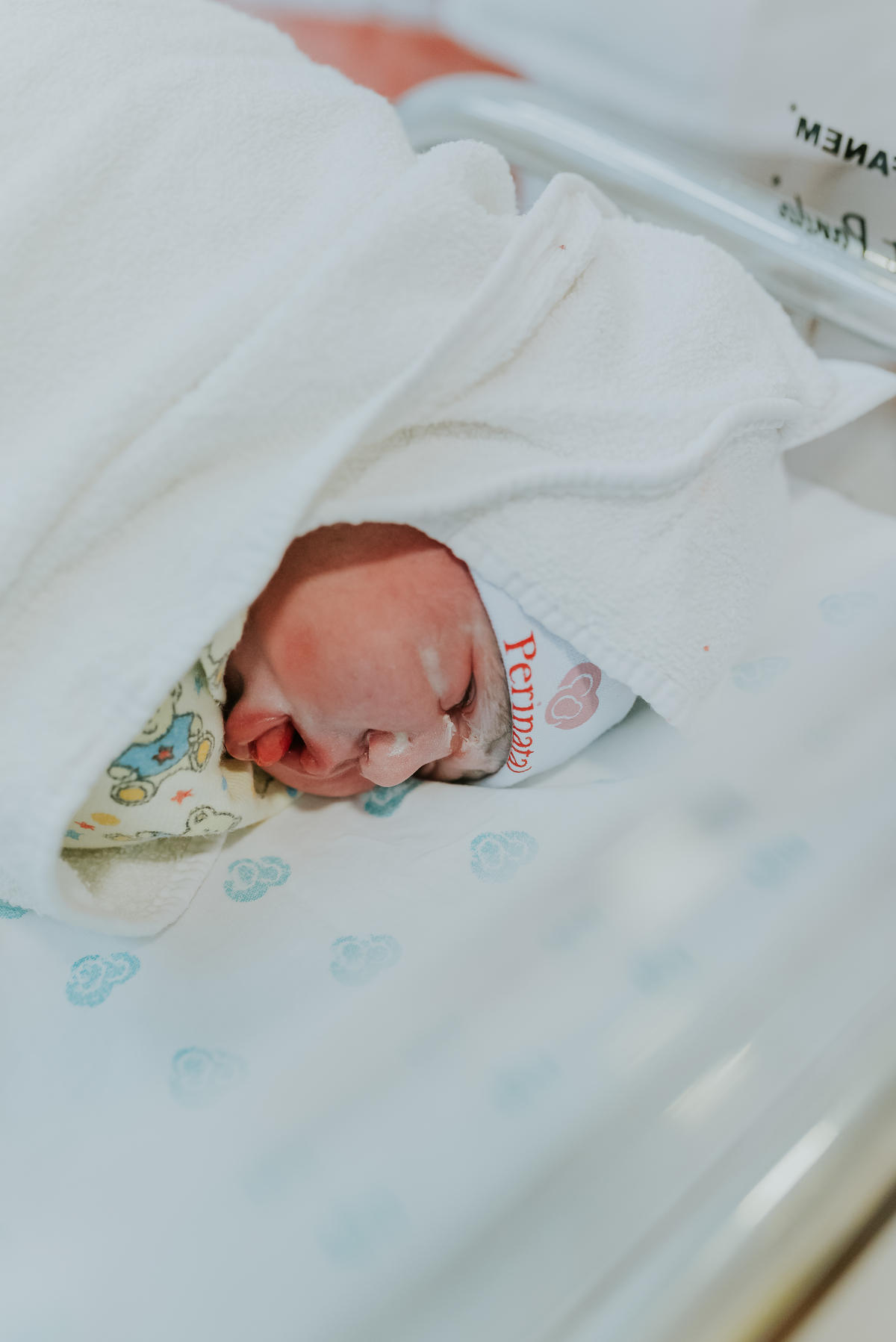 fotografia nascimento perinatal laranjeiras fotografa familia rio de janeiro parto cesárea laura rj