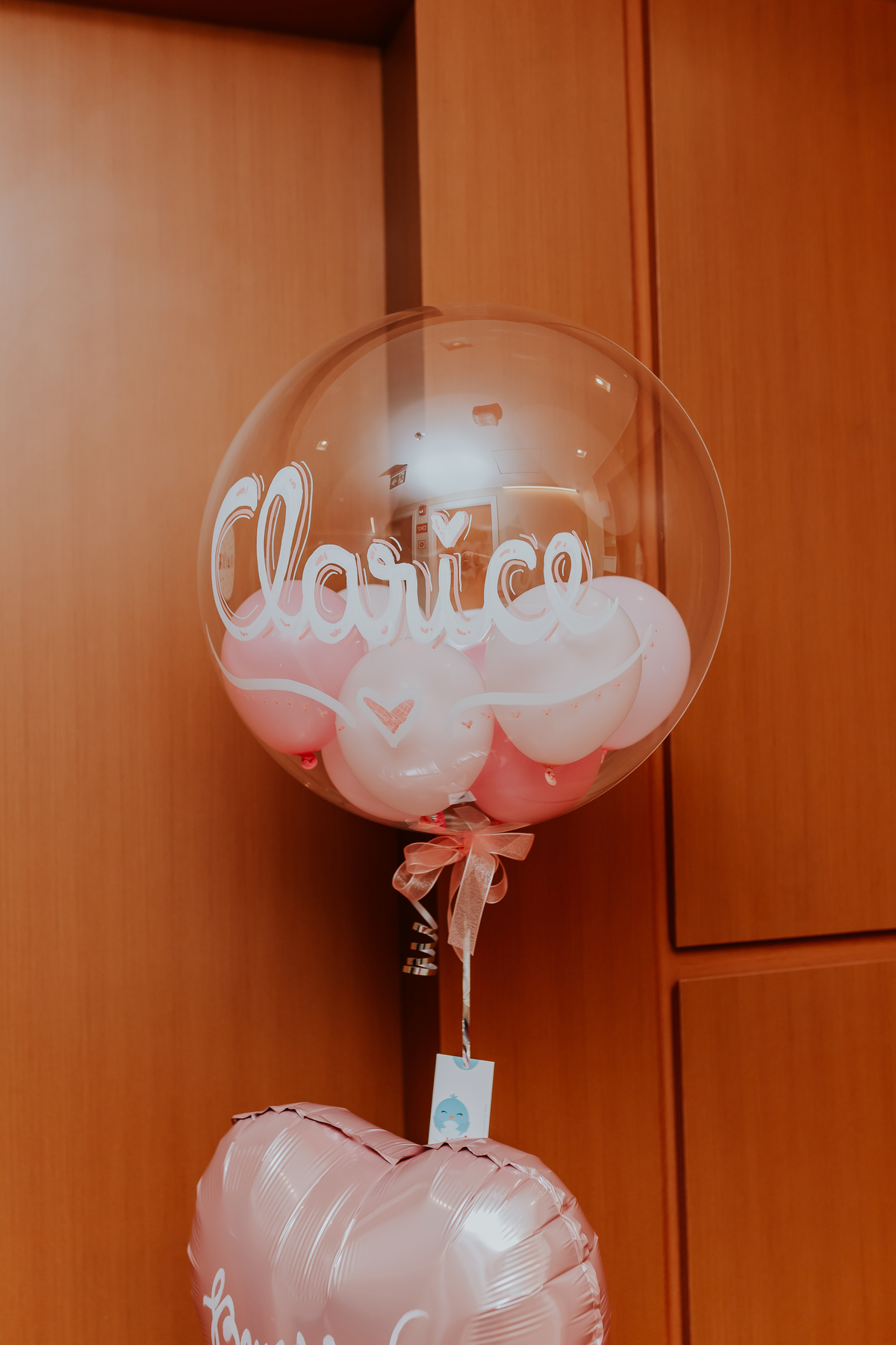 fotografia nascimento parto Clarice perinatal barra da Tijuca rio de Janeiro fotografa familia bruna guerson 