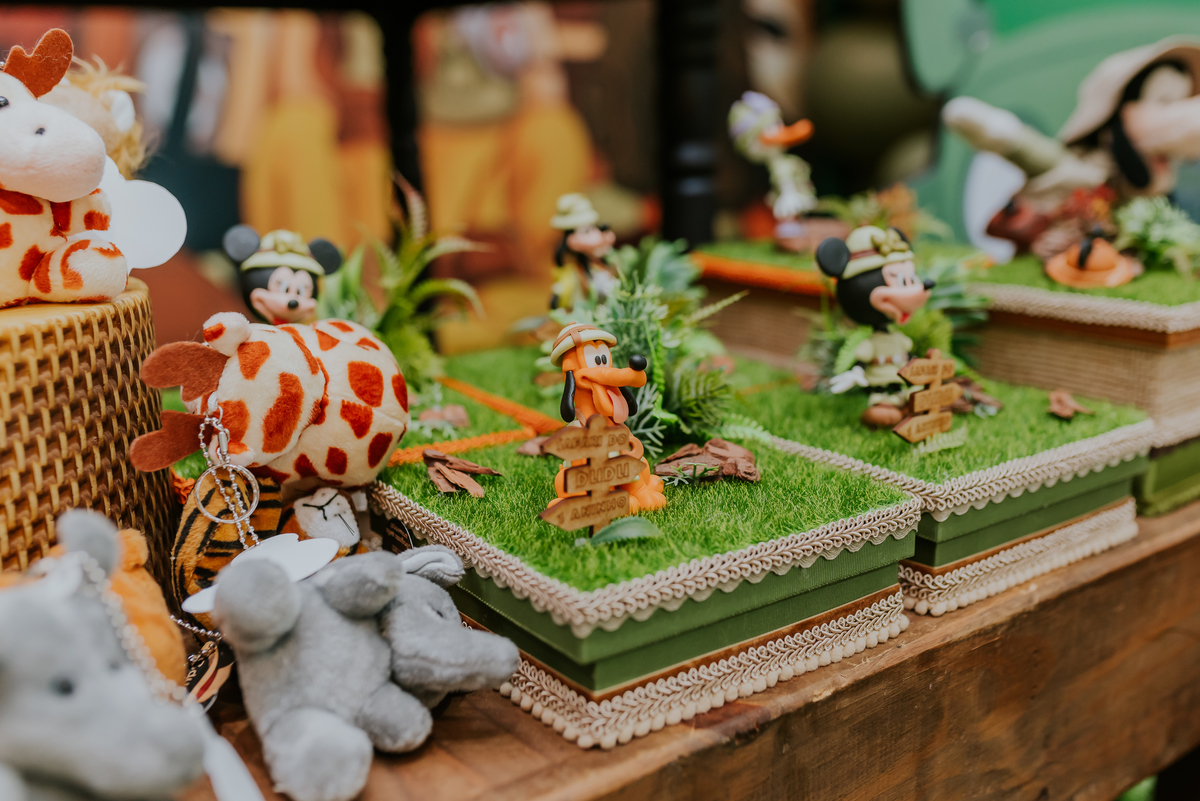 fotografia Rio de Janeiro festa infantil espaço diversão fotografa de familia 1 ano eduardo tema Mickey safari 