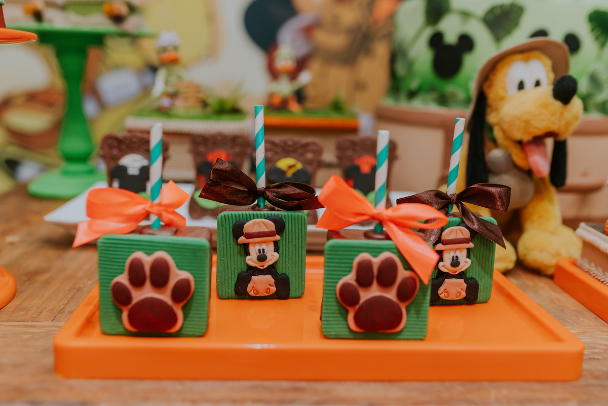fotografia Rio de Janeiro festa infantil espaço diversão fotografa de familia 1 ano eduardo tema Mickey safari 