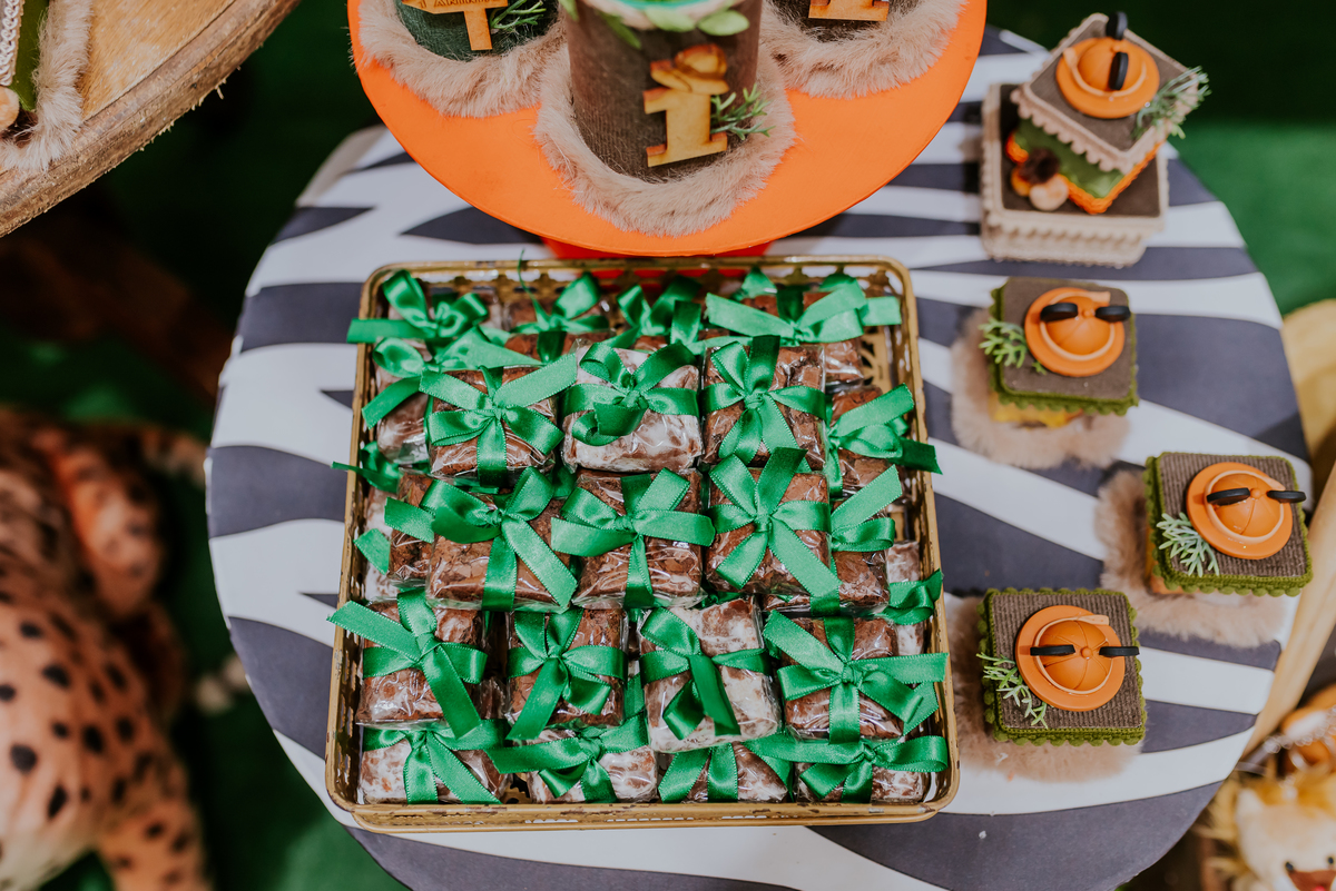 fotografia Rio de Janeiro festa infantil espaço diversão fotografa de familia 1 ano eduardo tema Mickey safari 