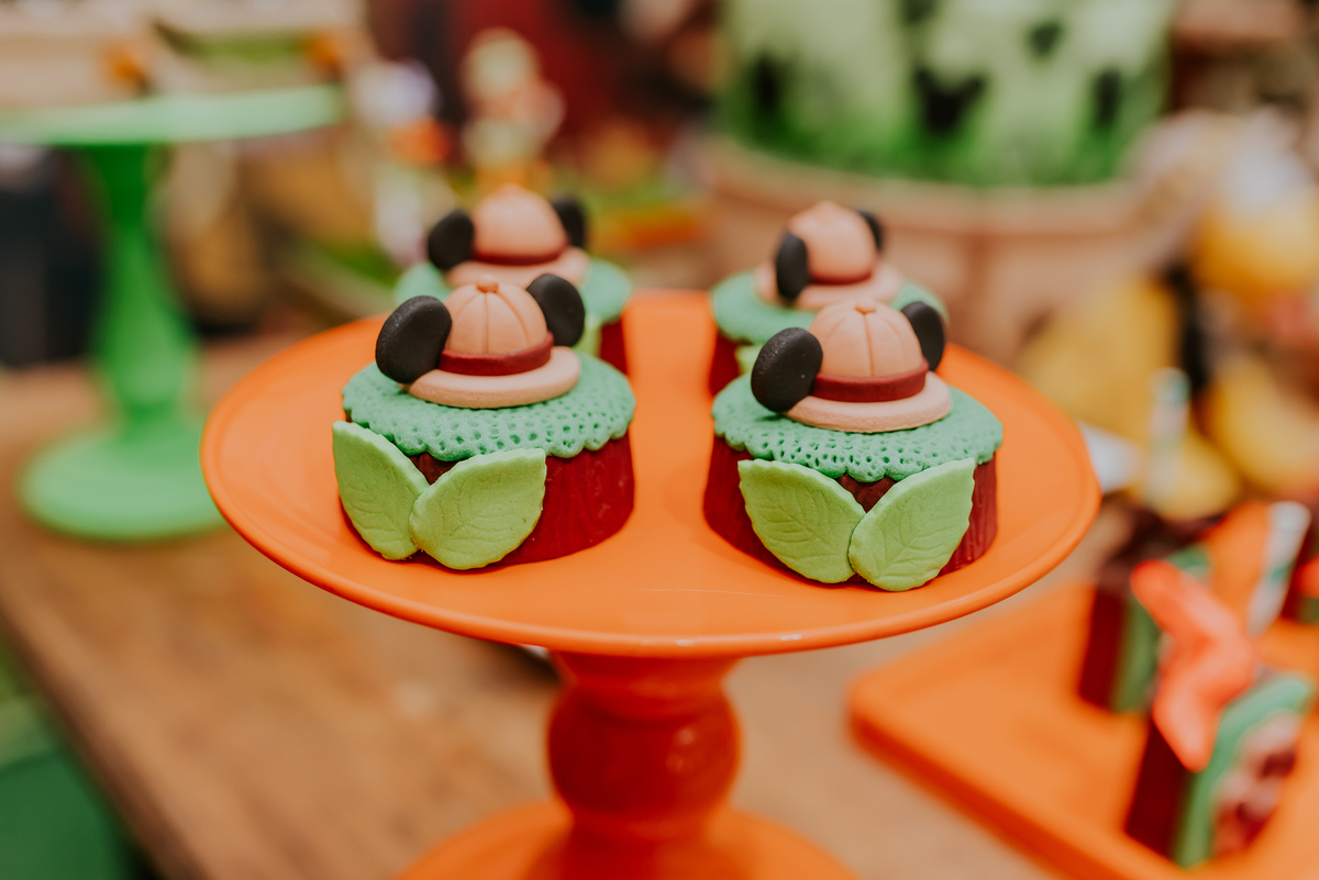 fotografia Rio de Janeiro festa infantil espaço diversão fotografa de familia 1 ano eduardo tema Mickey safari 