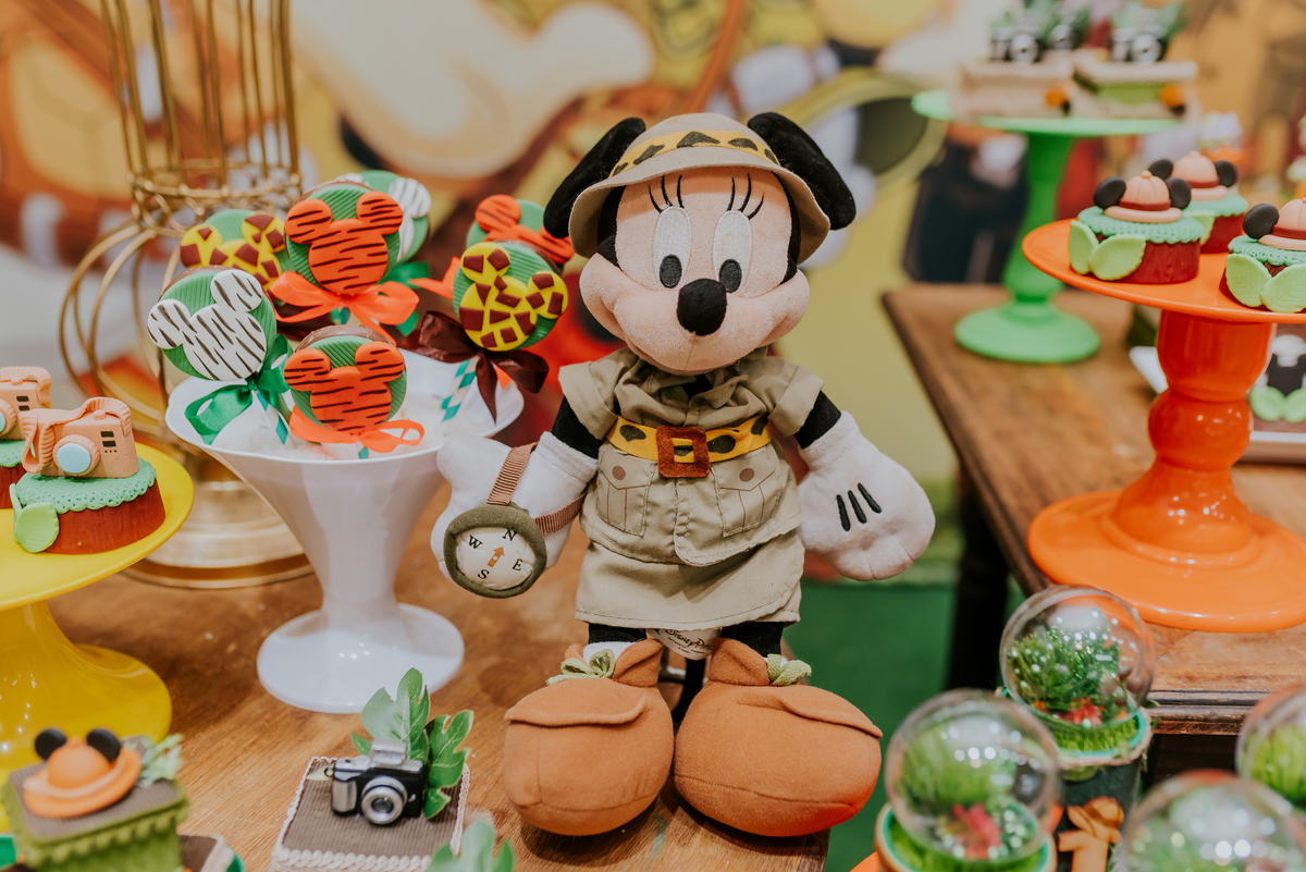 fotografia Rio de Janeiro festa infantil espaço diversão fotografa de familia 1 ano eduardo tema Mickey safari 