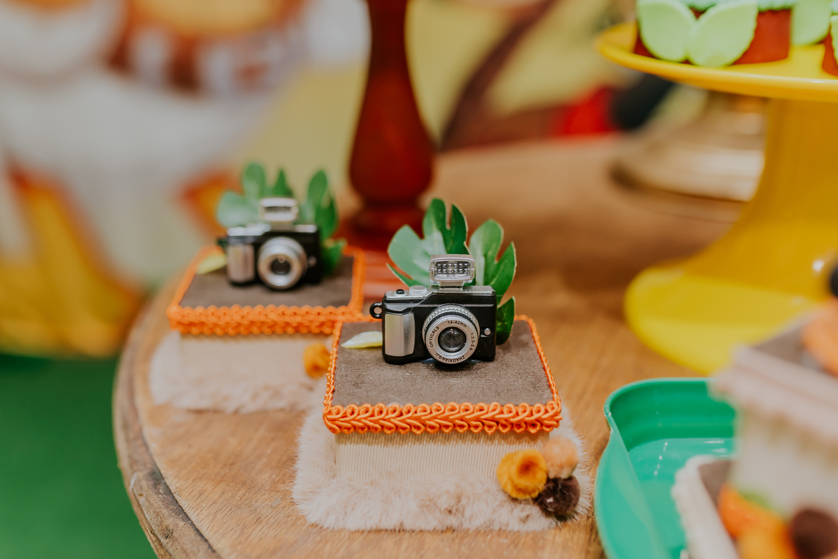 fotografia Rio de Janeiro festa infantil espaço diversão fotografa de familia 1 ano eduardo tema Mickey safari 