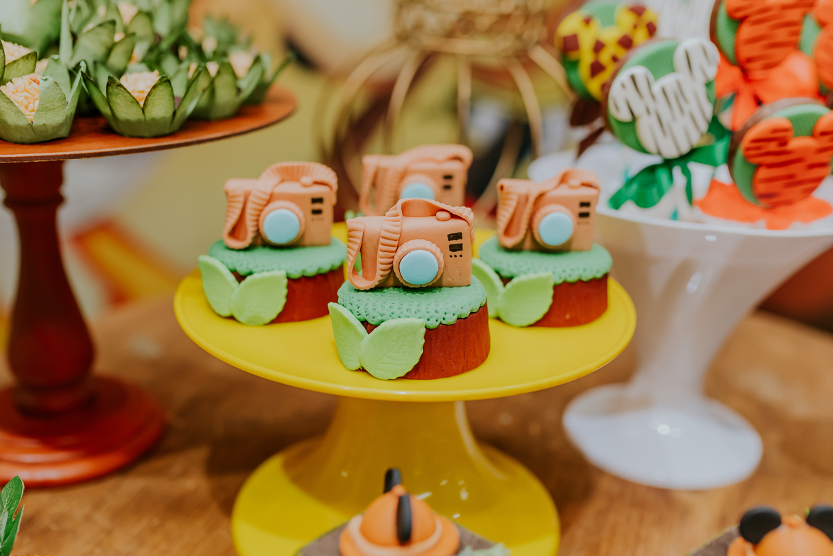 fotografia Rio de Janeiro festa infantil espaço diversão fotografa de familia 1 ano eduardo tema Mickey safari 
