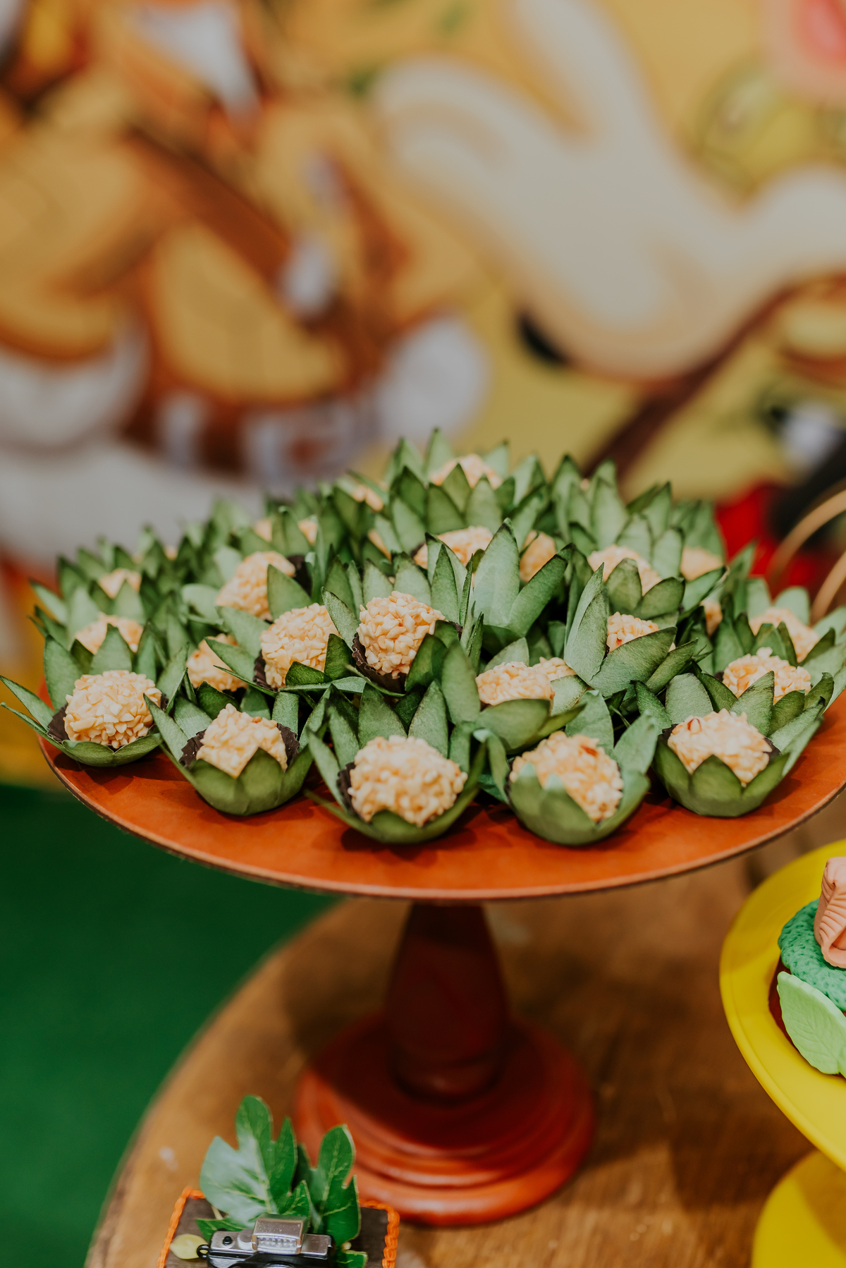 fotografia Rio de Janeiro festa infantil espaço diversão fotografa de familia 1 ano eduardo tema Mickey safari 