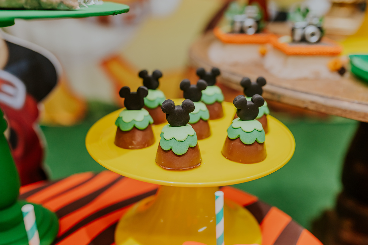 fotografia Rio de Janeiro festa infantil espaço diversão fotografa de familia 1 ano eduardo tema Mickey safari 