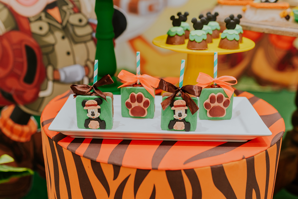 fotografia Rio de Janeiro festa infantil espaço diversão fotografa de familia 1 ano eduardo tema Mickey safari 