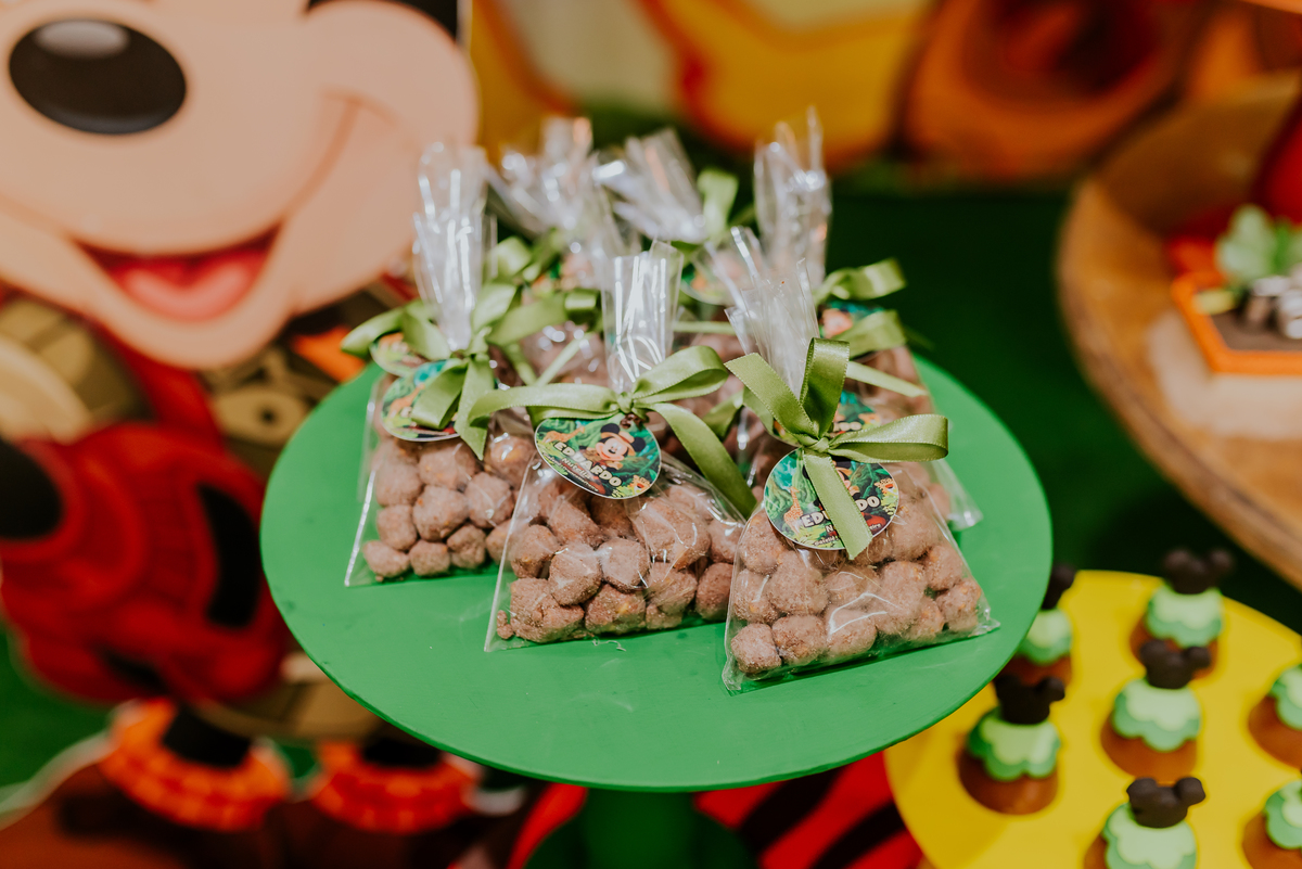 fotografia Rio de Janeiro festa infantil espaço diversão fotografa de familia 1 ano eduardo tema Mickey safari 