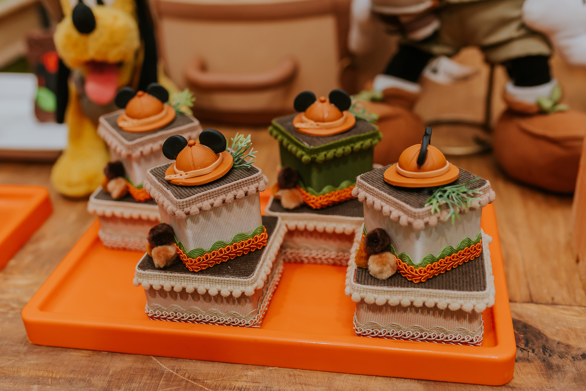 fotografia Rio de Janeiro festa infantil espaço diversão fotografa de familia 1 ano eduardo tema Mickey safari 