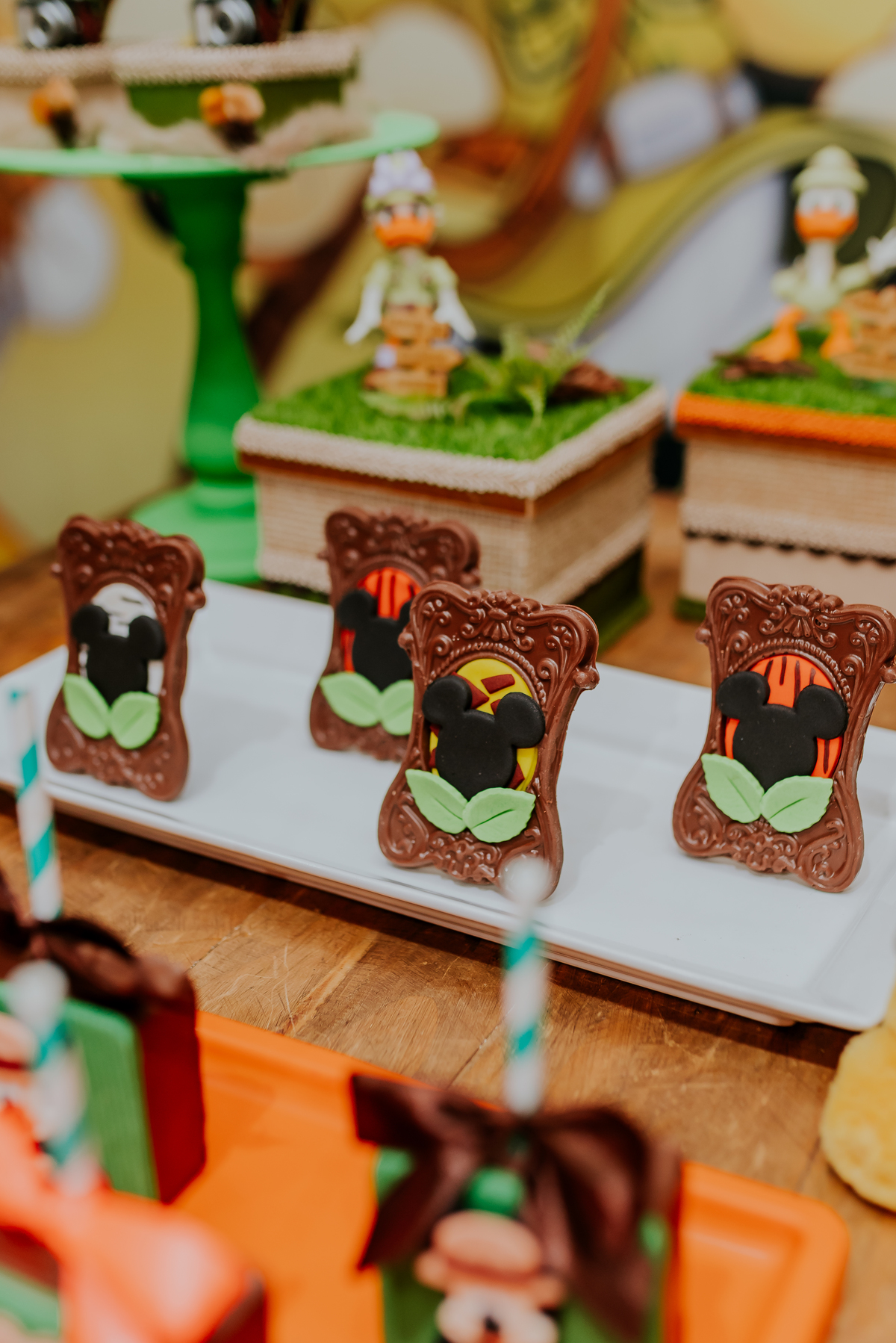 fotografia Rio de Janeiro festa infantil espaço diversão fotografa de familia 1 ano eduardo tema Mickey safari 
