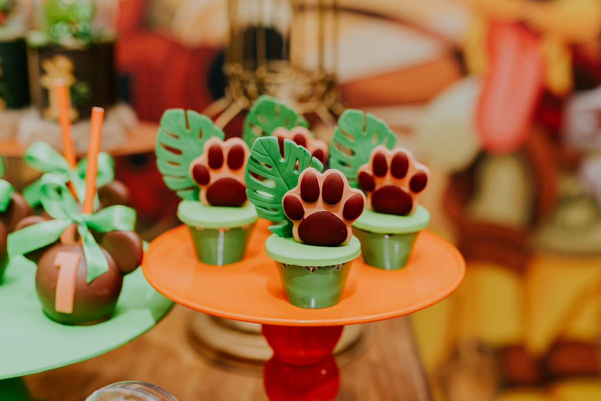 fotografia Rio de Janeiro festa infantil espaço diversão fotografa de familia 1 ano eduardo tema Mickey safari 
