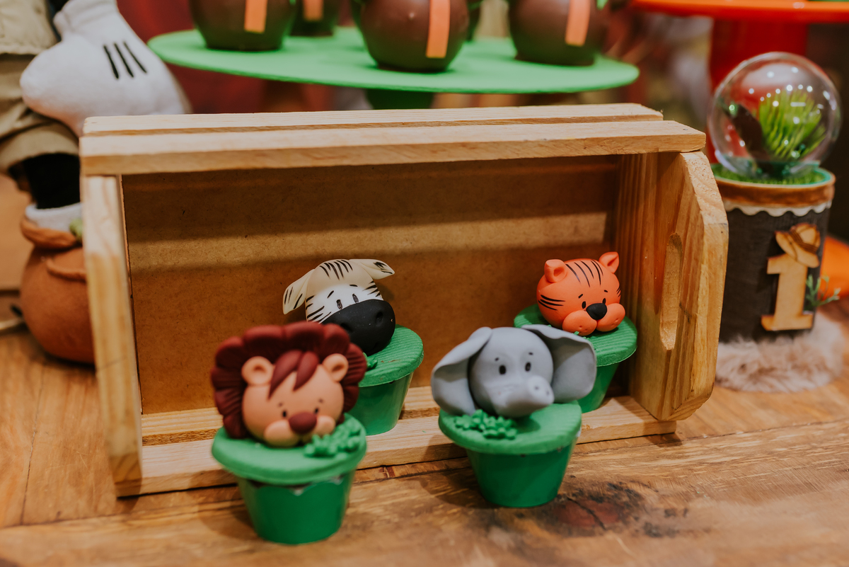 fotografia Rio de Janeiro festa infantil espaço diversão fotografa de familia 1 ano eduardo tema Mickey safari 