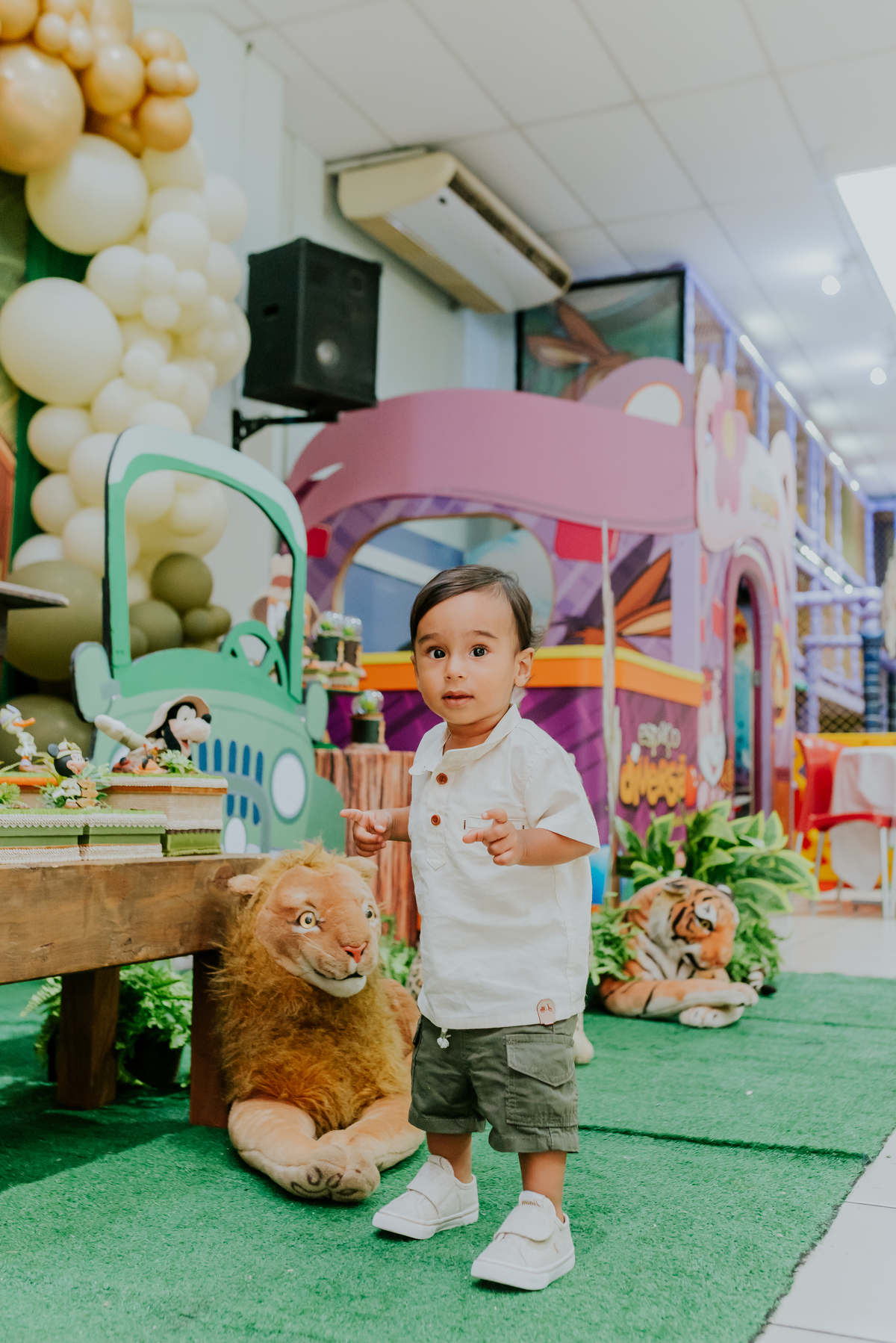 fotografia Rio de Janeiro festa infantil espaço diversão fotografa de familia 1 ano eduardo tema Mickey safari 