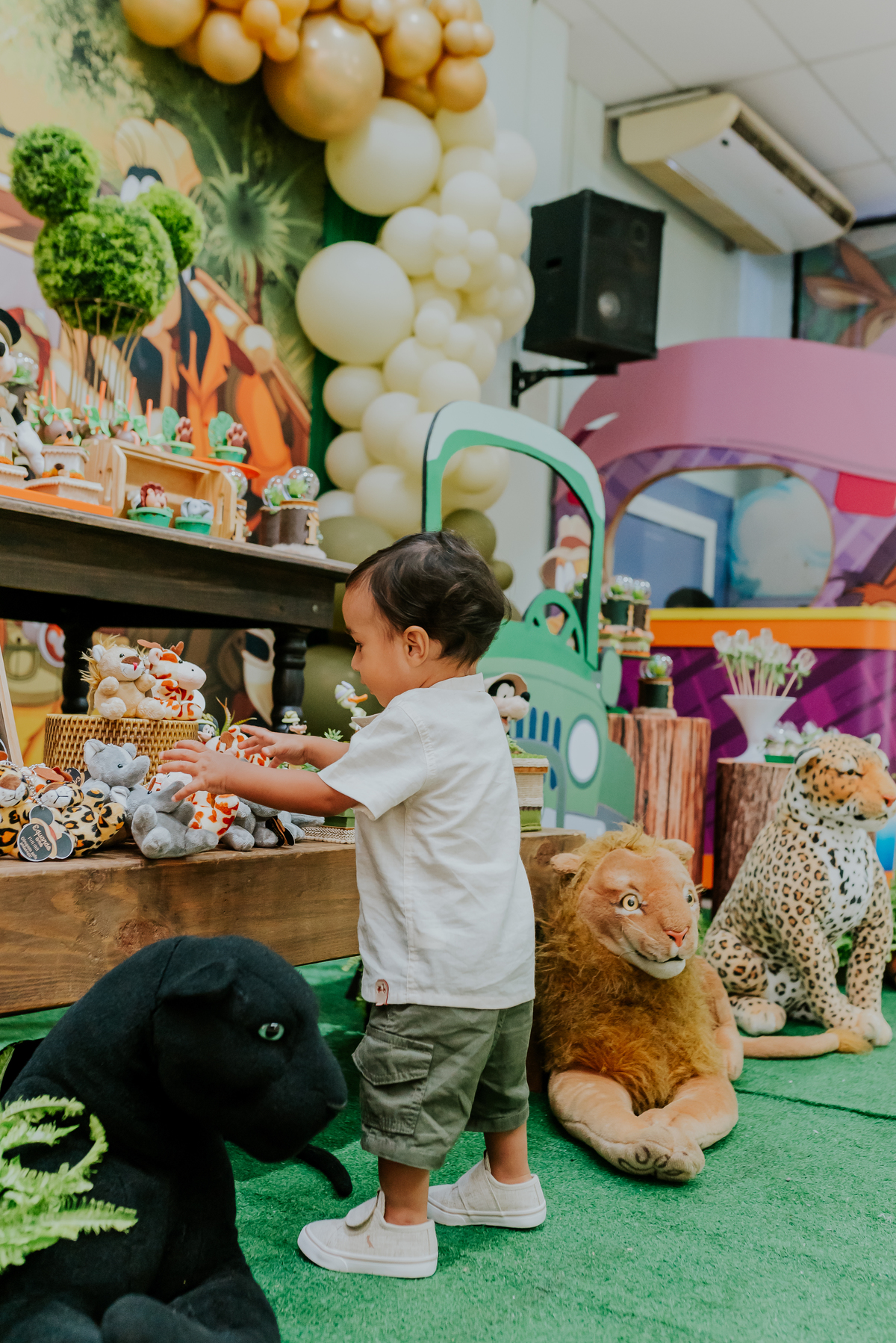 fotografia Rio de Janeiro festa infantil espaço diversão fotografa de familia 1 ano eduardo tema Mickey safari 