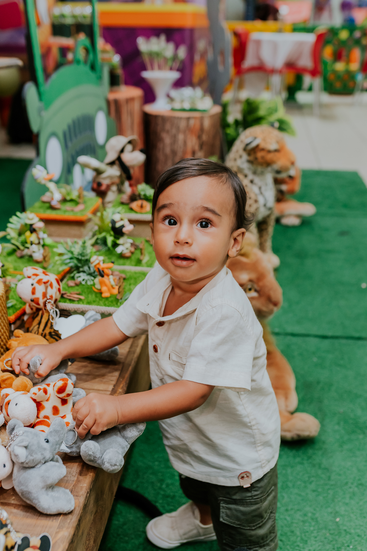 fotografia Rio de Janeiro festa infantil espaço diversão fotografa de familia 1 ano eduardo tema Mickey safari 