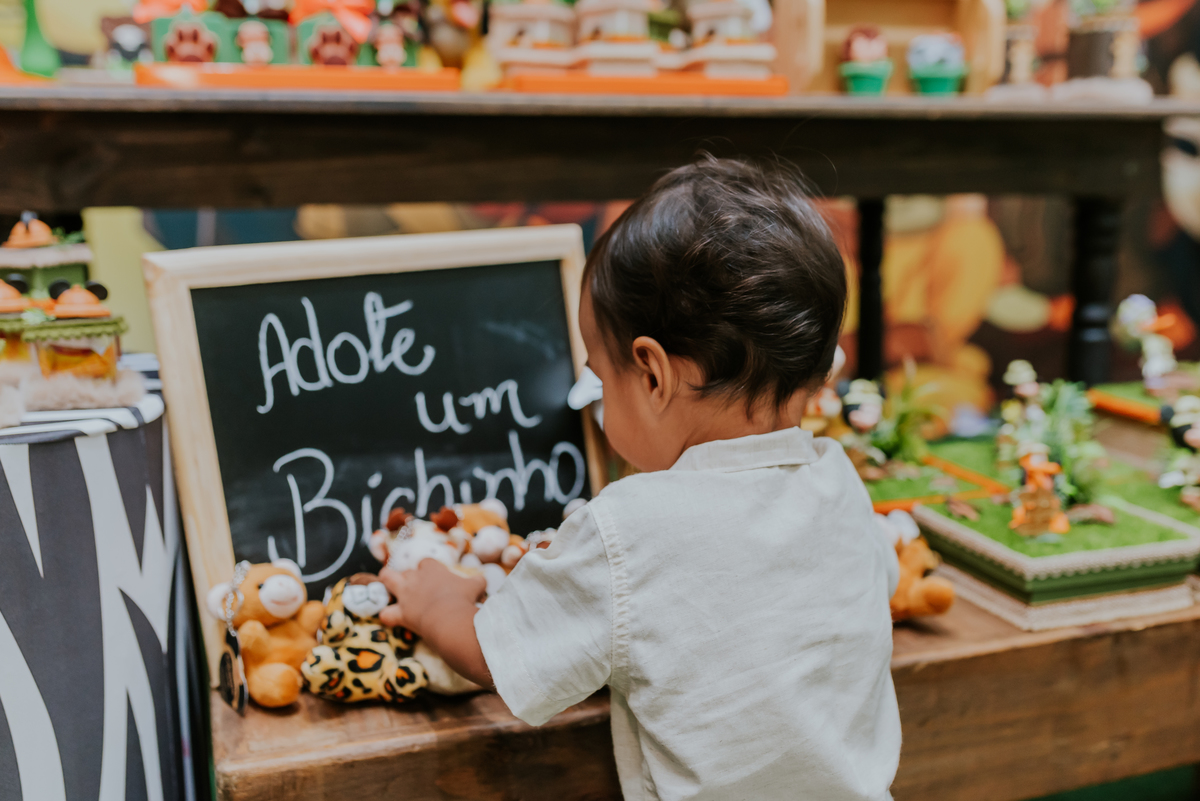fotografia Rio de Janeiro festa infantil espaço diversão fotografa de familia 1 ano eduardo tema Mickey safari 